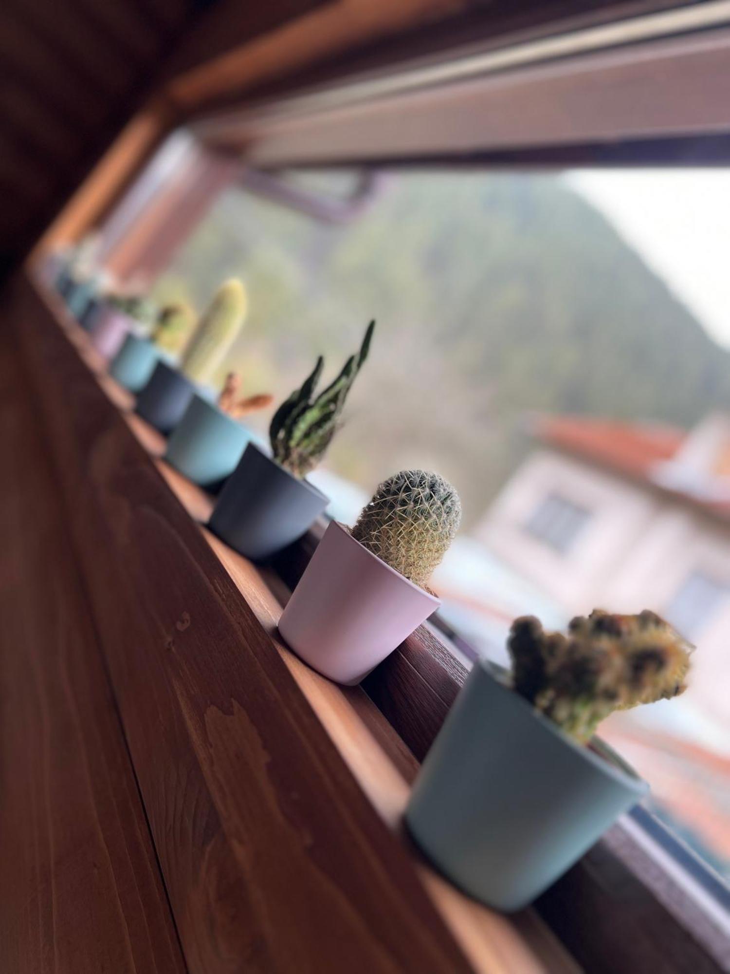 Guest House Recharge Govedartsi Zewnętrze zdjęcie