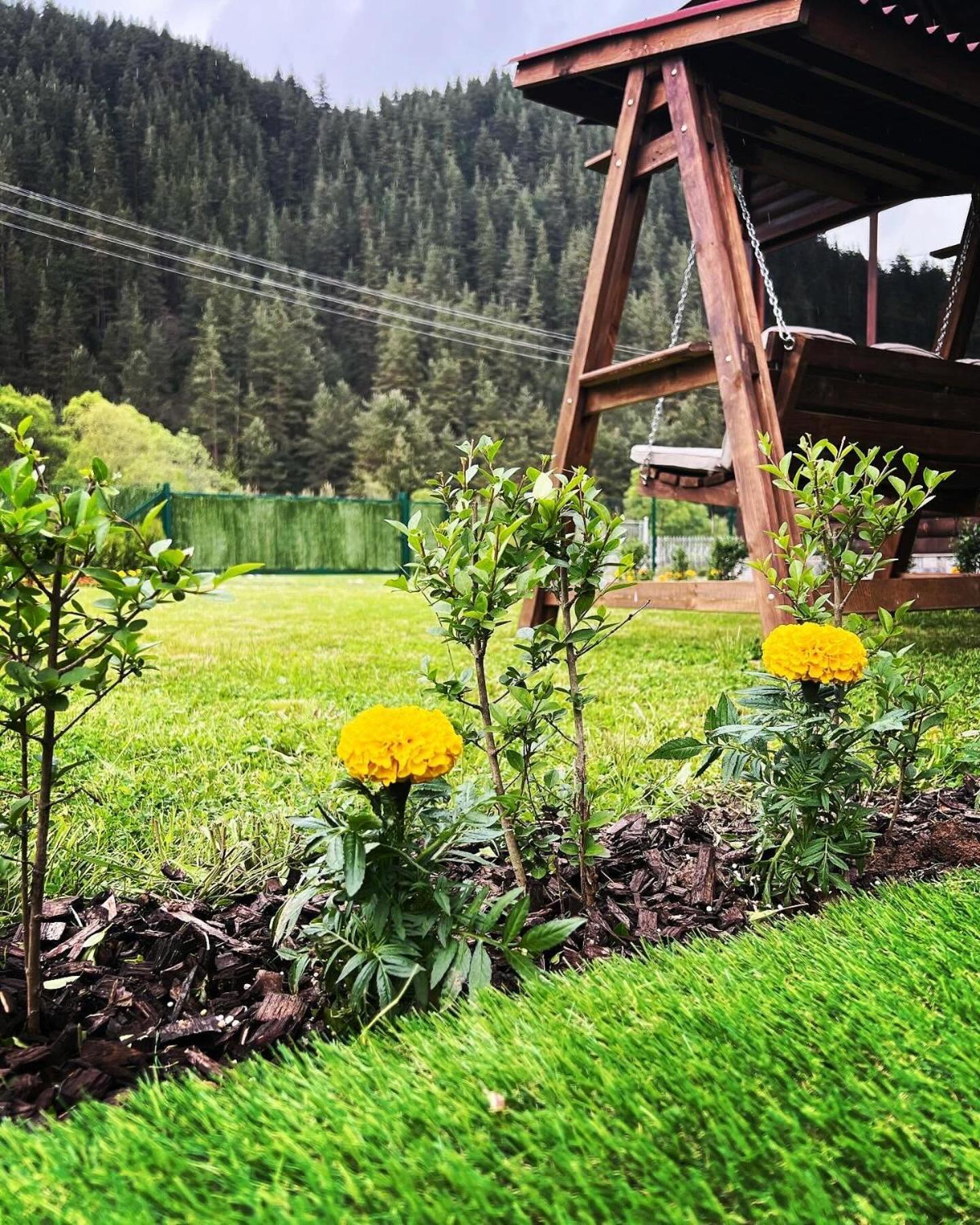 Guest House Recharge Govedartsi Zewnętrze zdjęcie