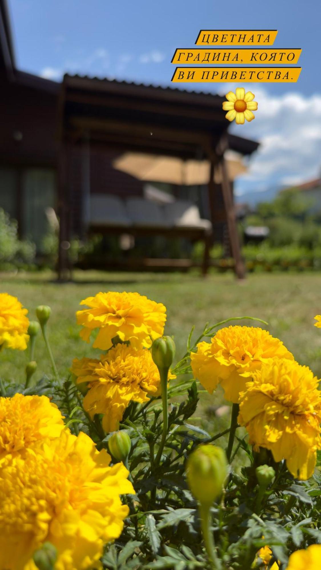 Guest House Recharge Govedartsi Zewnętrze zdjęcie